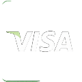 Visa Kreditkarten Logo mit neongr&uuml;nem Rand - WildRobin Casino Zahlung